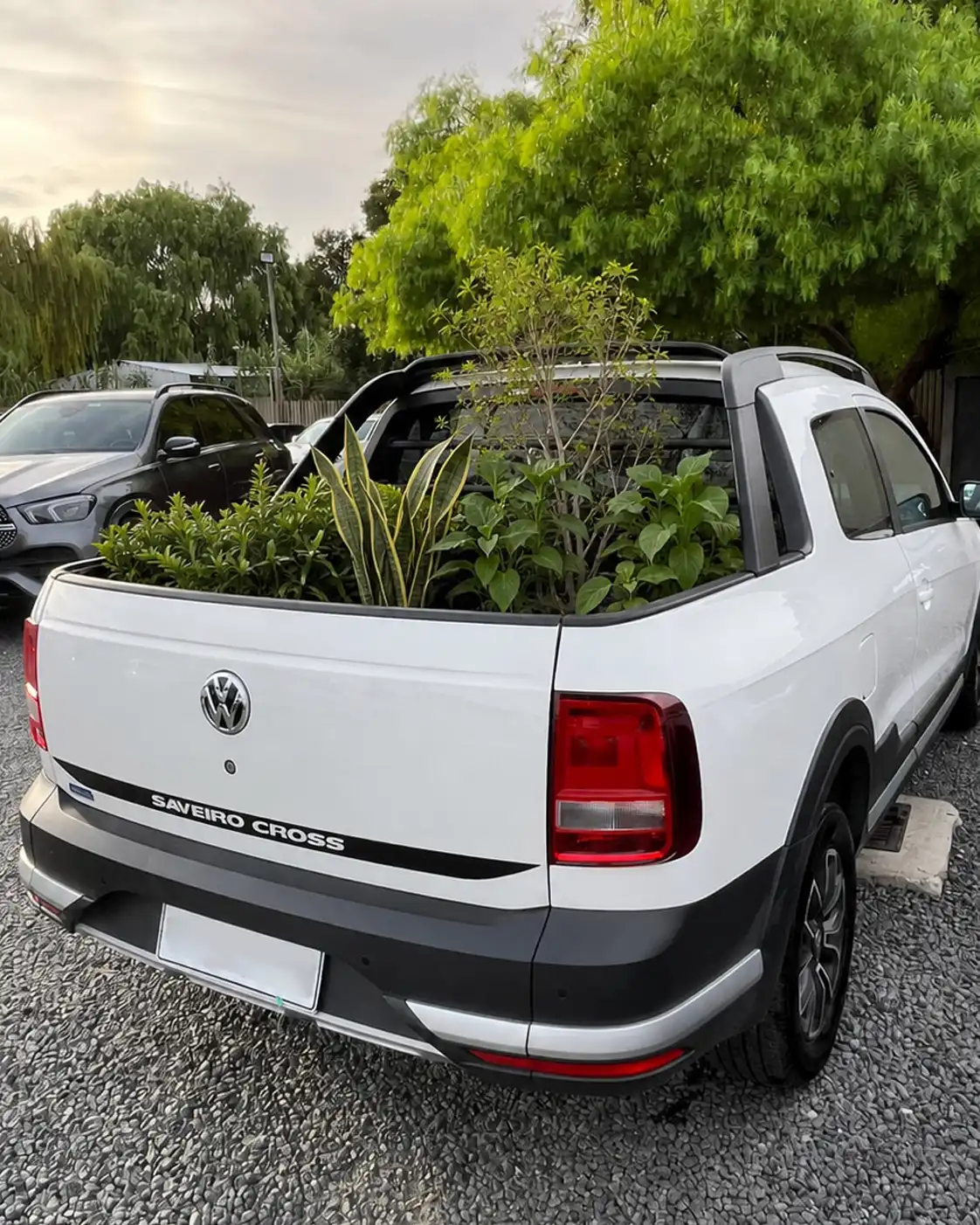 Traslado de plantas y macetas